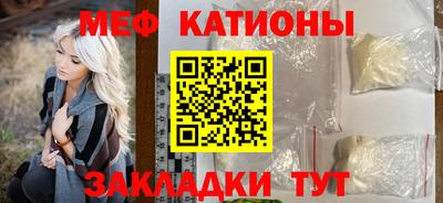 шишки Заволжье