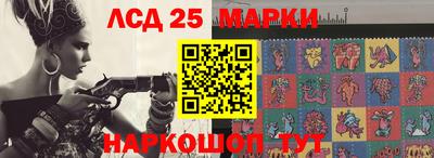 шишки Заволжье
