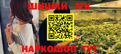 шишки Заволжье