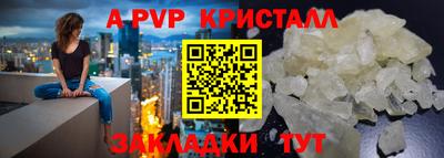 шишки Заволжье