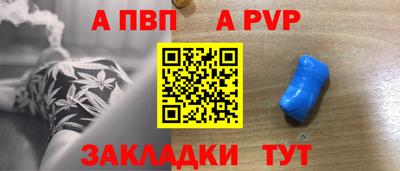 шишки Заволжье
