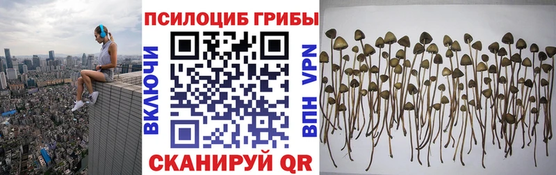что такое   KRAKEN маркетплейс  Галлюциногенные грибы Magic Shrooms  Нефтеюганск 