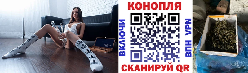 Канабис план  купить  цена  Нефтеюганск 